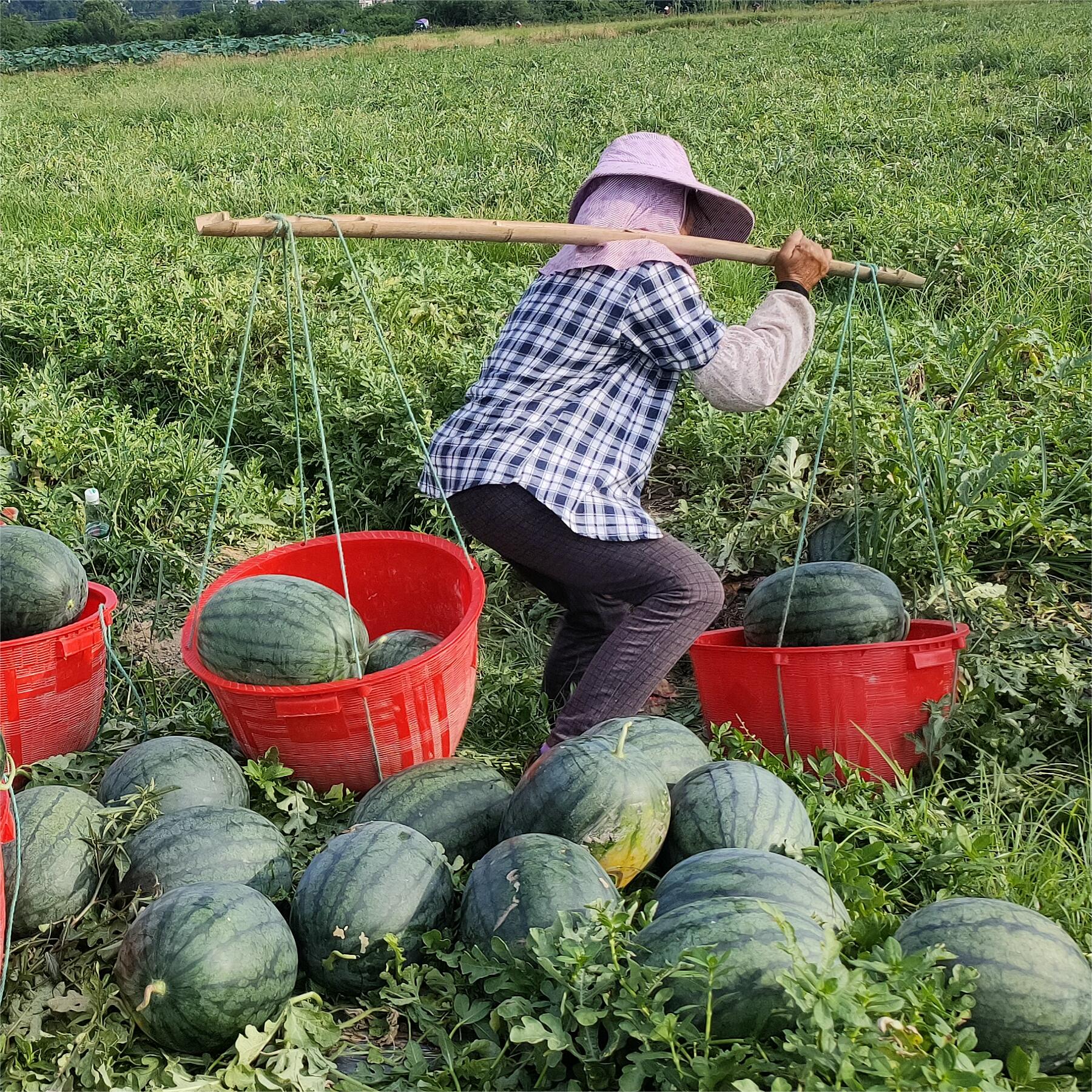 豫藝黑娃二號